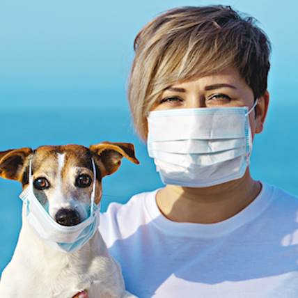How to Take Care of Your Dog’s Health While Remaining in Quarantine