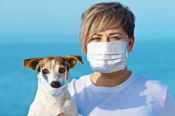 How to Take Care of Your Dog’s Health While Remaining in Quarantine
