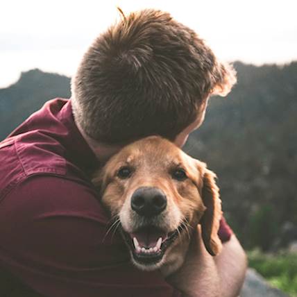 Products for Man’s Best Friend: How to Express Your Gratitude To Your Dog