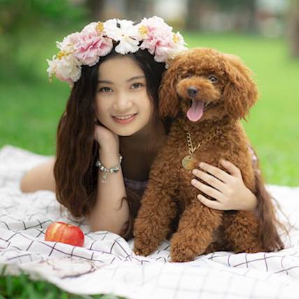 Image for How to Organize a Fun-Filled Picnic for Your Dog