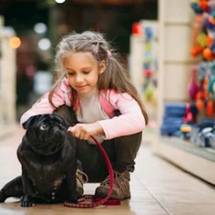 Should You Bring Your Pet to a Pet Store?
