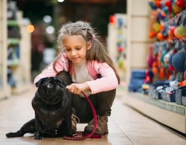 Should You Bring Your Pet to a Pet Store?