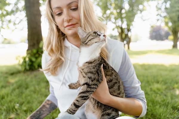 The Cat Lover’s Guide to Celebrating International Cat Day