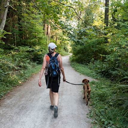 What You Should Know Before Taking Your Dog Out for a Walk