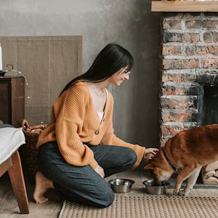 Is There a Way to Disguise the Taste of Medicines in Your Dog’s Food?
