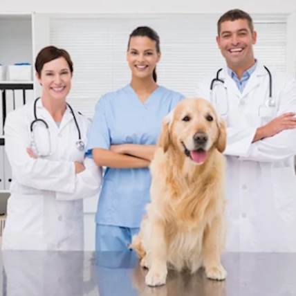 Identifying A Cancerous Lump On Your Pet