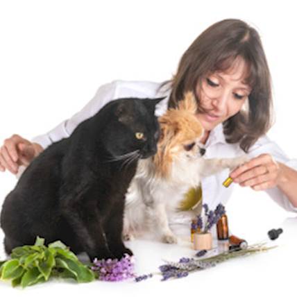 Holistic Veterinarian's 