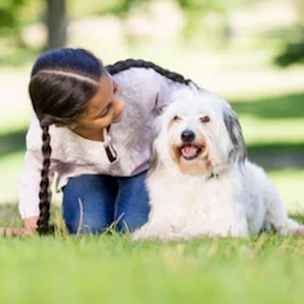 Pet's Are PAW-some!