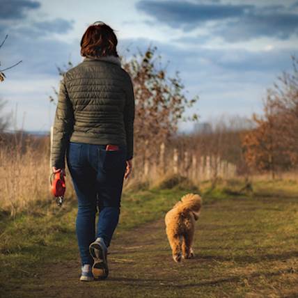 How to Keep Your Pet Secure While Taking a Walk Outside