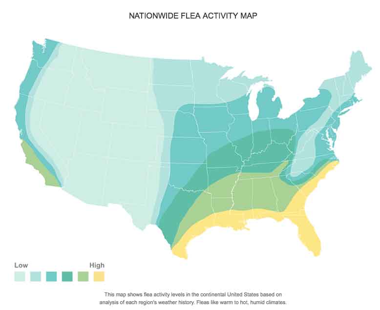 flea-map flea-map