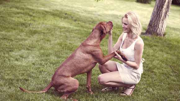 Brown dog and blond woman