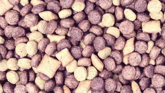 What Is Moisture in Dog Food?