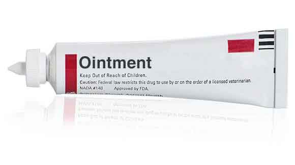 Ointment перевод