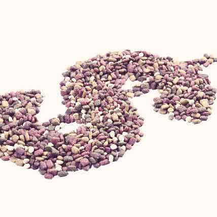 Do I Need a Prescription Dog Diabetes Diet?