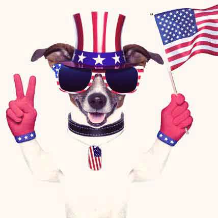 Presidential Pets: The Dog and Cat Leaders of the Free World