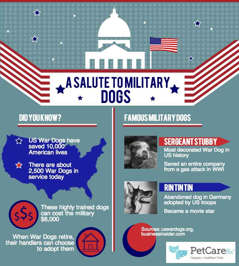 Salute-to-Military-Dogs-Infographic