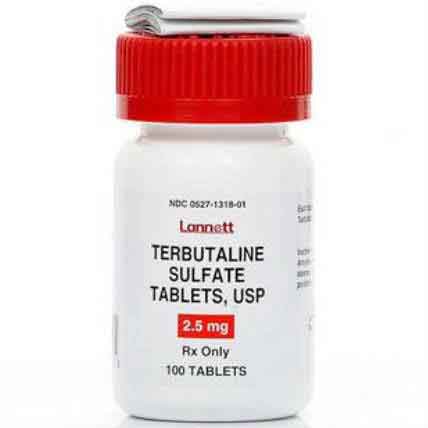 Image for Guide to Terbutaline Sulfate, Generic of Brethine