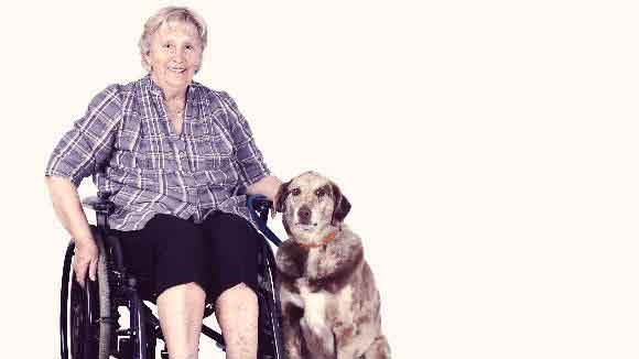 A Dog Sitting Next To A Senior Citizen In A Wheelchair