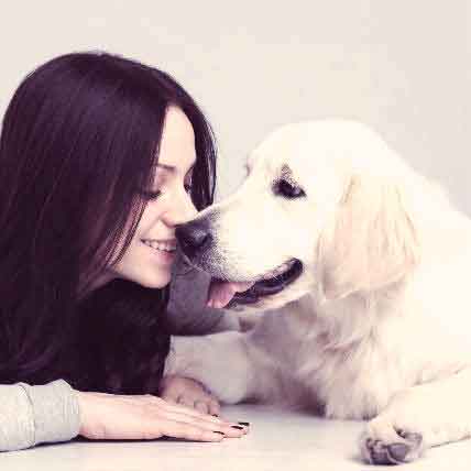 Image for What Kind of Pet Parent Are You: The Lover, the Trainer, & More