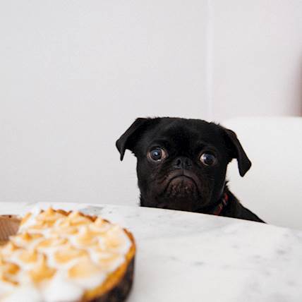 Image for Don't Eat That!