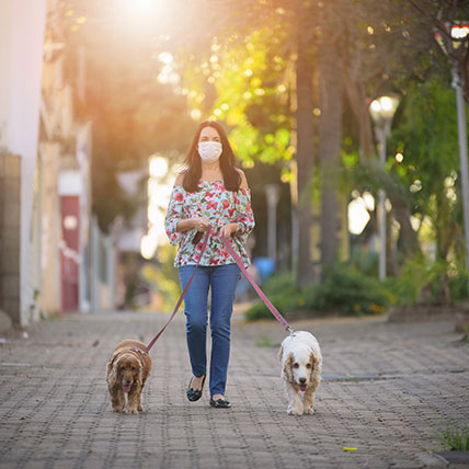 Dogs of the Pandemic