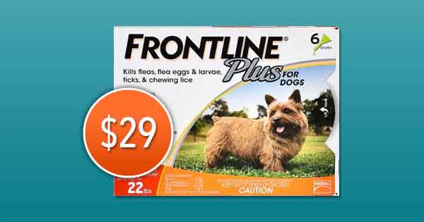 Frontline oral shop flea medication