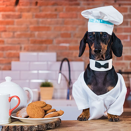 5 Nutritious Cookie Recipes for Your Dog
