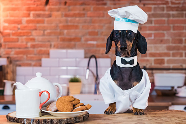 5 Nutritious Cookie Recipes for Your Dog