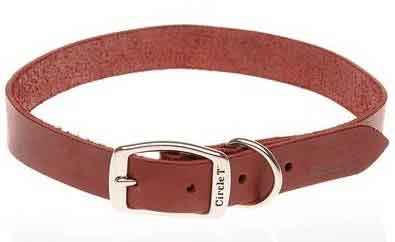 latigo-leather-collar latigo-leather-collar