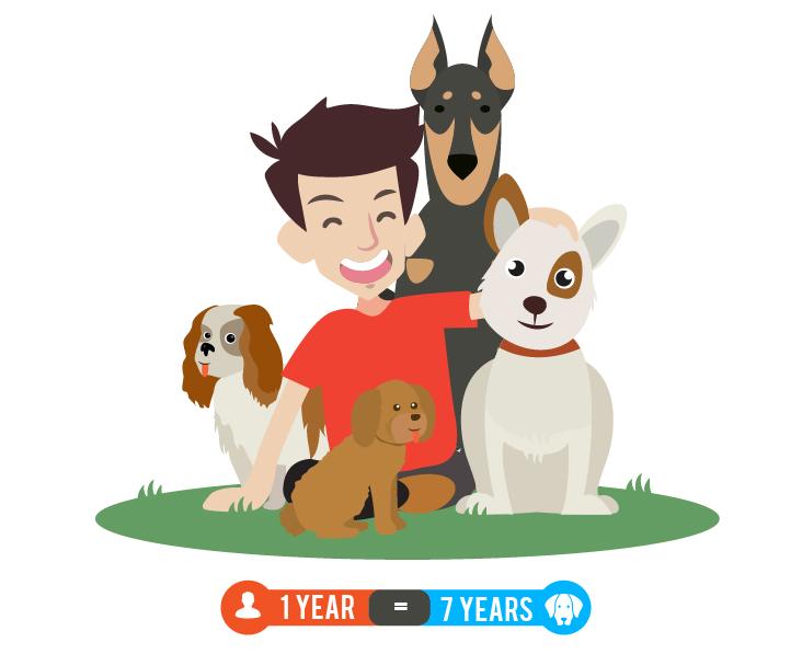 why is one year 7 years for a dog