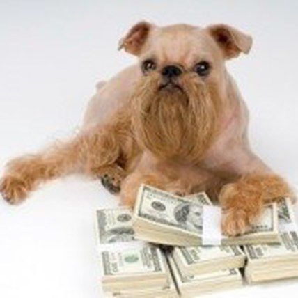 The 5 Biggest Pet Expenses