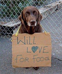 Paw Sign