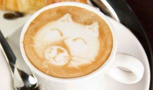 Purina One's Cat Cafe is a Smash Success
