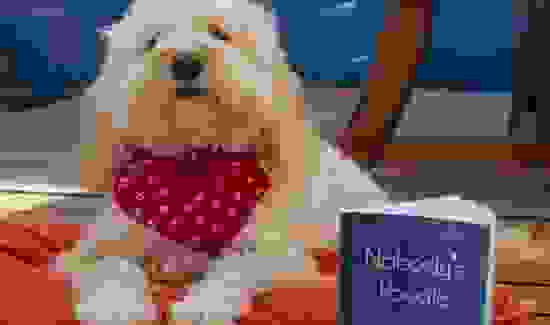 5 Questions With Author Nikki Attree, Founder of Wooftastic Books