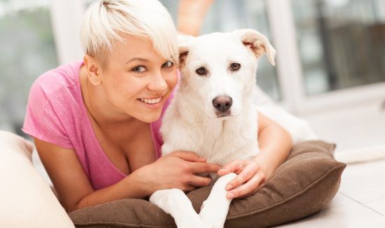 pet furniture