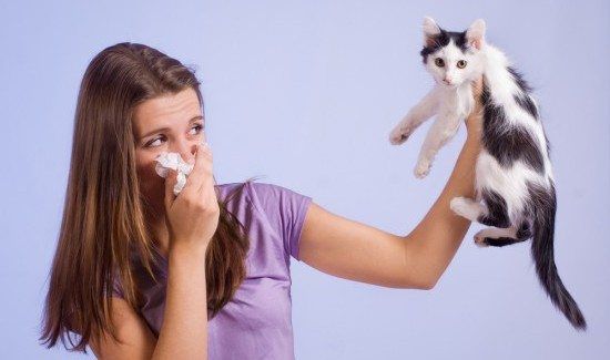 woman with cat allergies