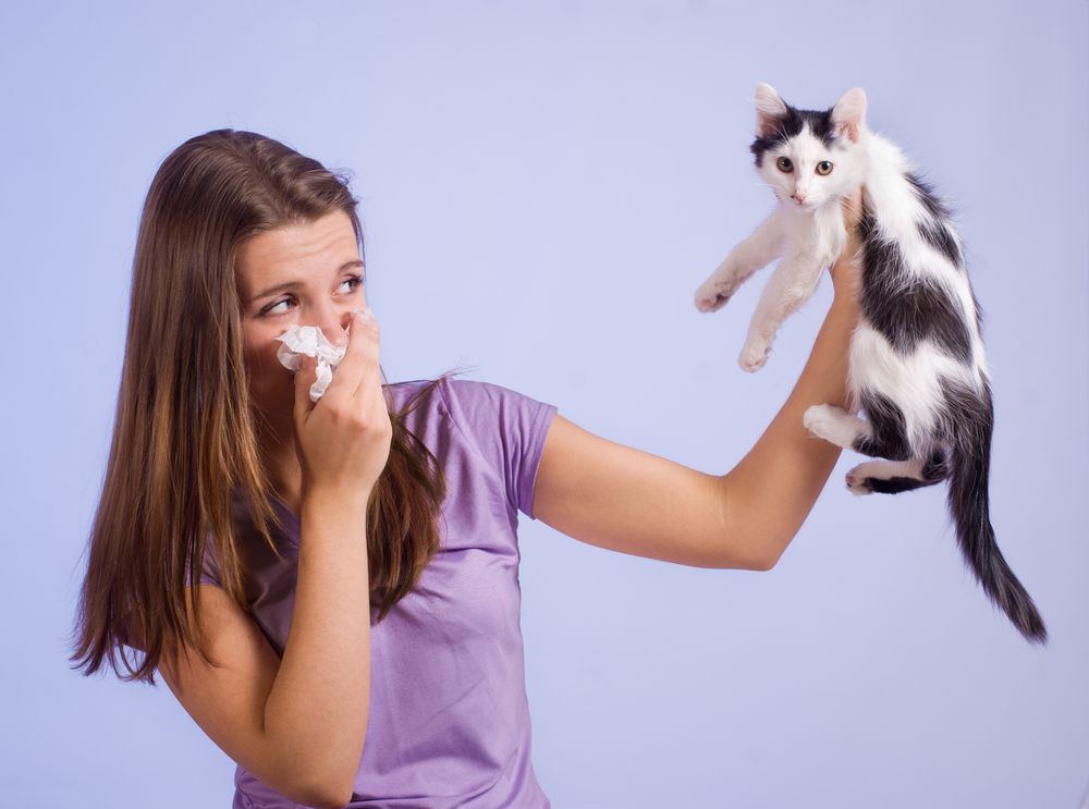 What to Do if Your Friend Is Allergic to Your Pet