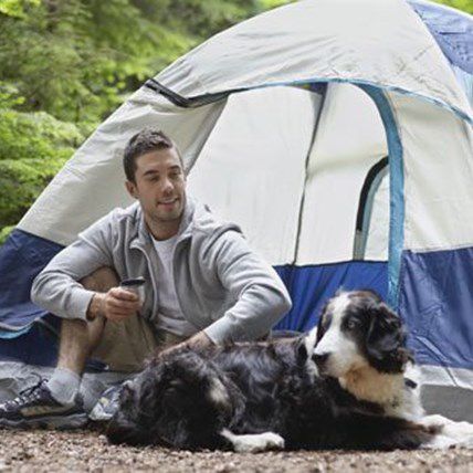 Tips for Camping With a Dog