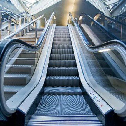 Can Dogs Ride Escalators