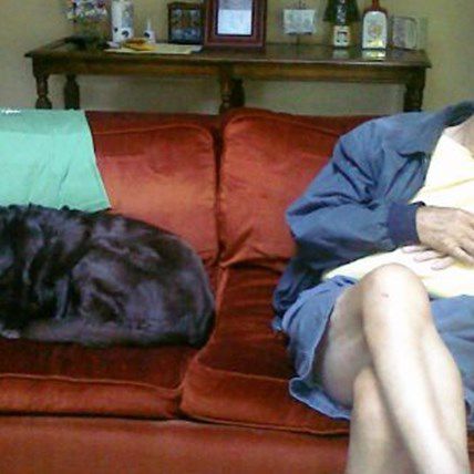 Daily Awww: This Old Dog's Story Will Melt Your Heart