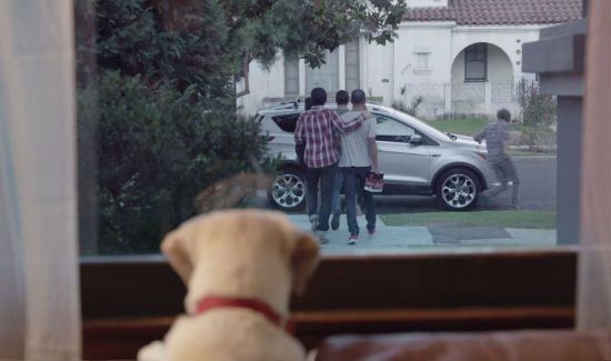 New Video Fights Drunk Driving With Cuteness