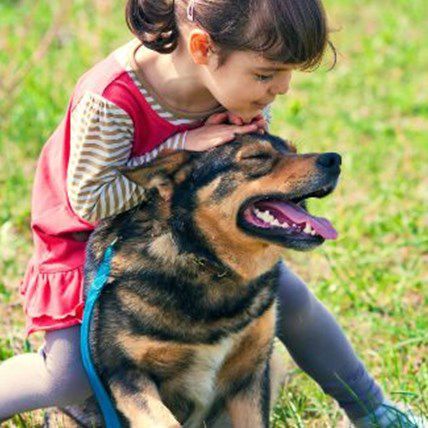 Young Girl Wakes From Coma, Reunites With Savior Dog