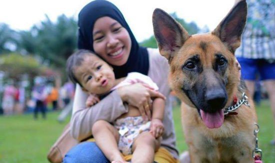 Malaysian Dog Event