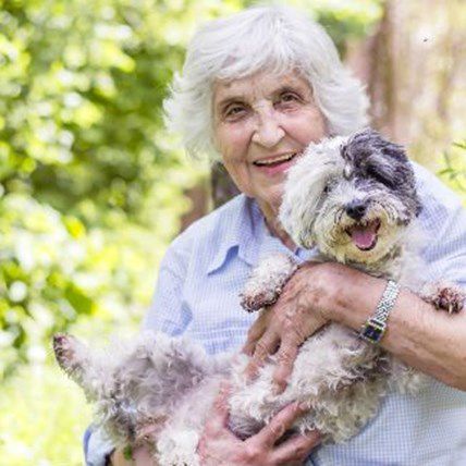 You Look Like Your Pet: No Insult, It's Science!
