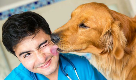 canine-muscular-dystrophy-blog-2