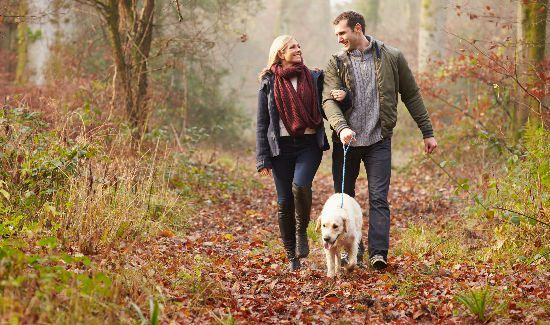 dog-on-thanksgiving-blog-3
