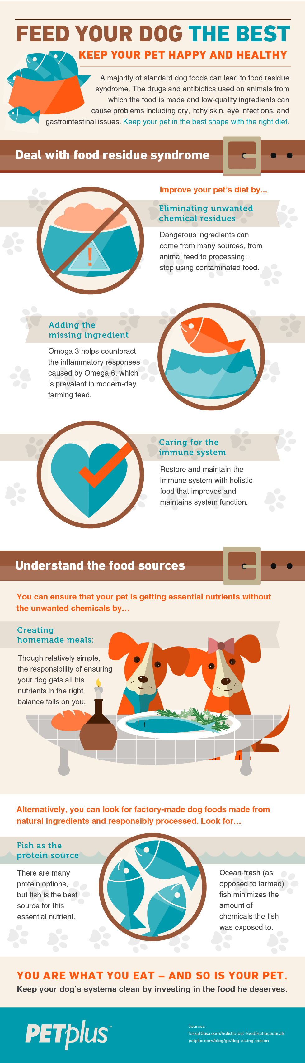 Feed Your Dog The Best - Keep Your Pet Happy and Healthy