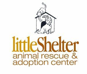 little-shelter-animal-rescue
