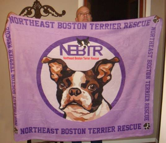 Northeast Boston Terrier Rescue - Saving USA's First Breed