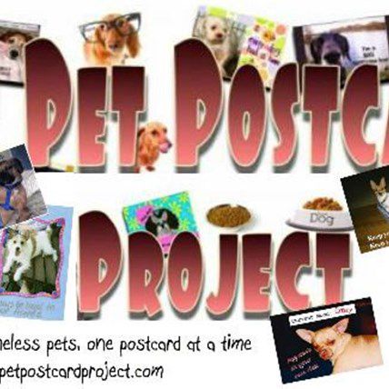 The Pet Postcard Project - Arts & Crafts That Saves Lives